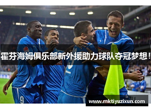 霍芬海姆俱乐部新外援助力球队夺冠梦想！