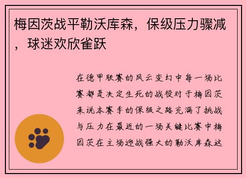 梅因茨战平勒沃库森，保级压力骤减，球迷欢欣雀跃